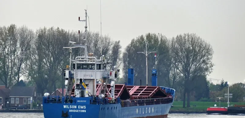 WILSON EMS General Cargo IMO 9117117 photo 2
