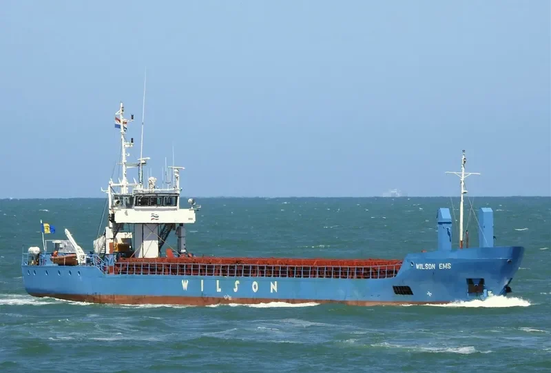 WILSON EMS General Cargo IMO 9117117 photo 9