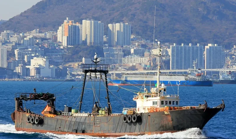 DONG JIN NO.1 General Cargo IMO 9117143 photo 2