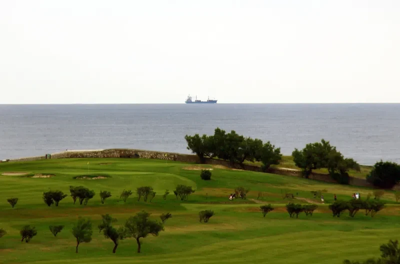 INLE STAR Container Ship IMO 9117193 photo 5