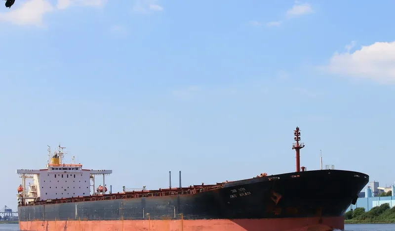 JAG ARJUN Bulk Carrier IMO 9117296 photo 5