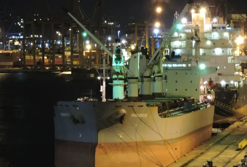 WANTONG SUMMER Bulk Carrier IMO 9117313 photo 2