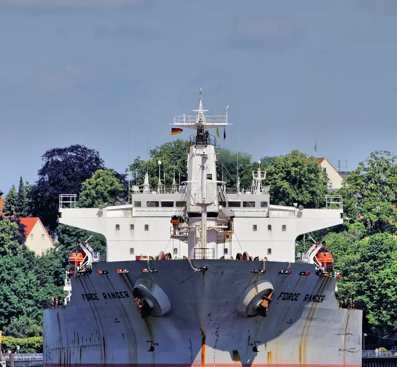 WANTONG SUMMER Bulk Carrier IMO 9117313 photo 7