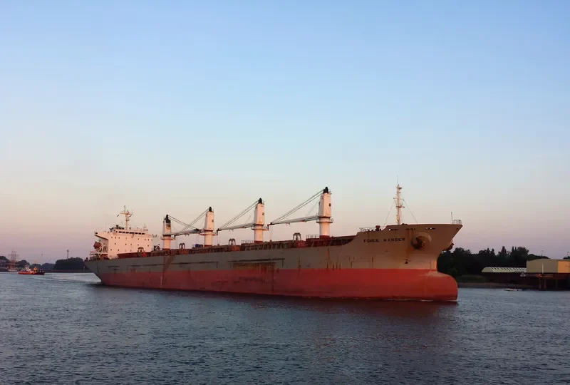 WANTONG SUMMER Bulk Carrier IMO 9117313 photo 9