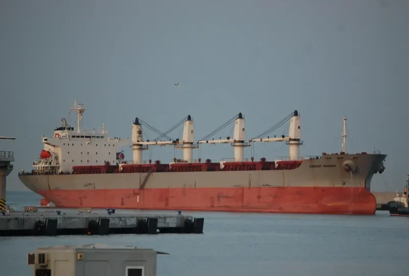 ENERGY RANGER Bulk Carrier IMO 9117325 photo 4