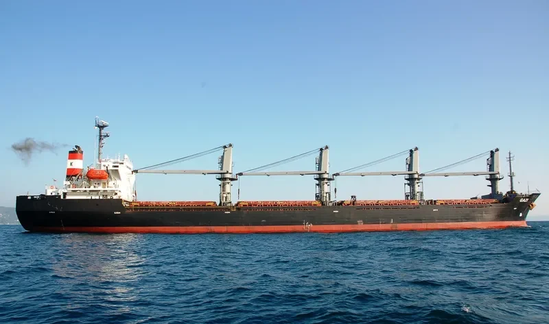 JIN SHUN FA Bulk Carrier IMO 9117375 photo 4