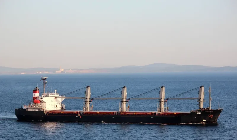 JIN SHUN FA Bulk Carrier IMO 9117375 photo 6
