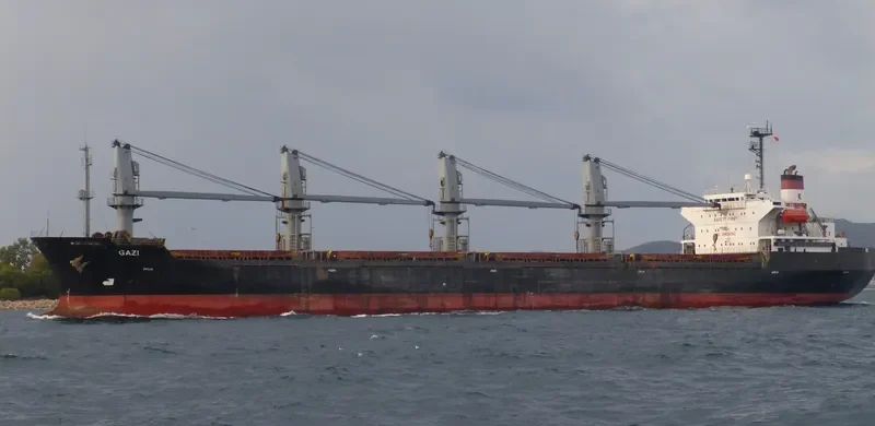 JIN SHUN FA Bulk Carrier IMO 9117375 photo 9