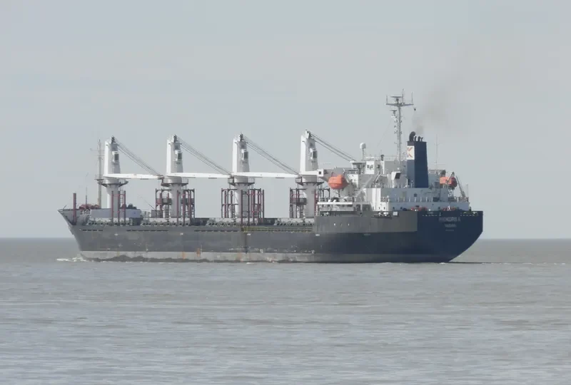 SEA WISE Bulk Carrier IMO 9117387