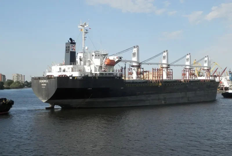 SEA WISE Bulk Carrier IMO 9117387 photo 3