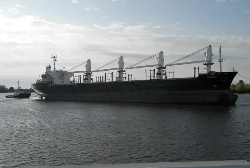 SEA WISE Bulk Carrier IMO 9117387 photo 4