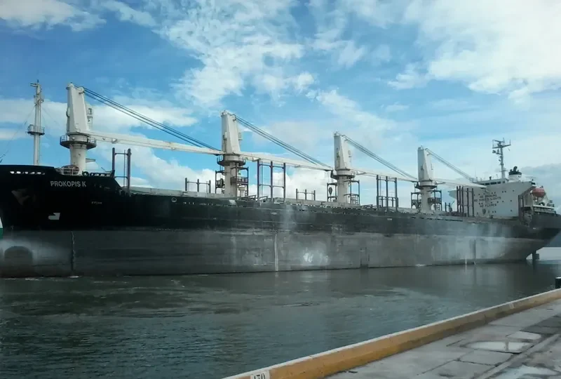 SEA WISE Bulk Carrier IMO 9117387 photo 8