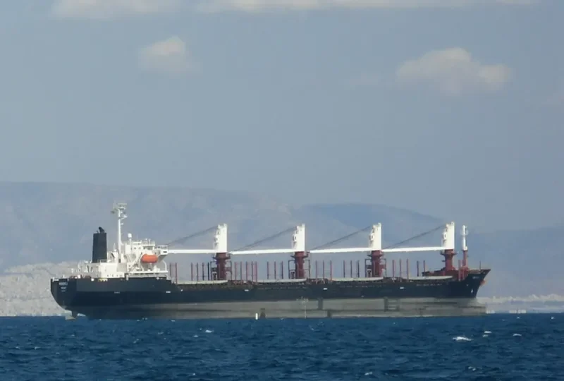 SEA WISE Bulk Carrier IMO 9117387 photo 9