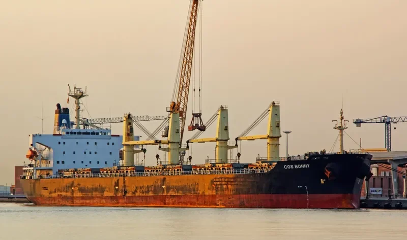 COS BONNY Bulk Carrier IMO 9117399