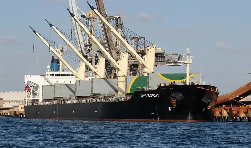 COS BONNY Bulk Carrier IMO 9117399 photo 2