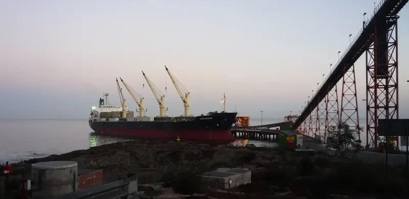 COS BONNY Bulk Carrier IMO 9117399 photo 7