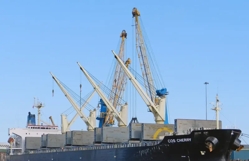 COS CHERRY Bulk Carrier IMO 9117404 photo 2