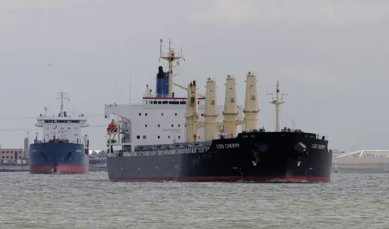 COS CHERRY Bulk Carrier IMO 9117404 photo 3