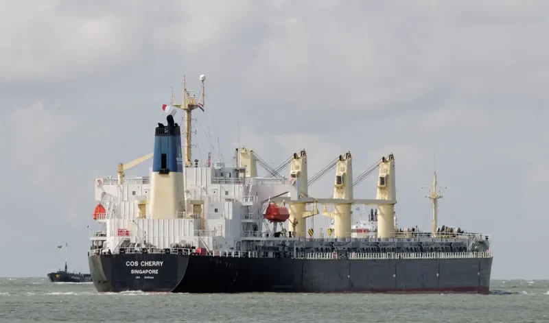 COS CHERRY Bulk Carrier IMO 9117404 photo 4