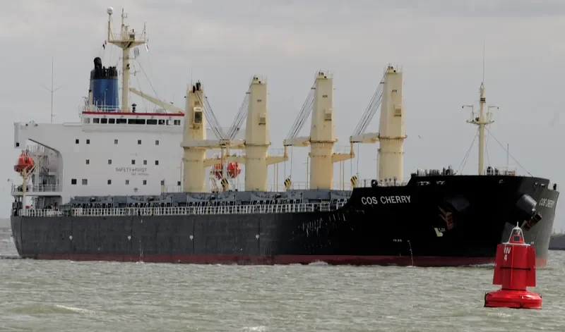 COS CHERRY Bulk Carrier IMO 9117404 photo 5