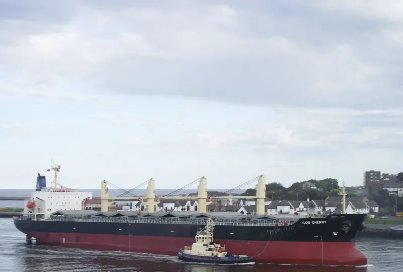 COS CHERRY Bulk Carrier IMO 9117404 photo 7