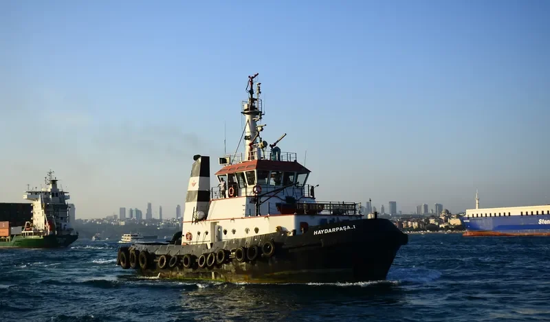HAYDARPASA I General Cargo IMO 9117557 photo 10