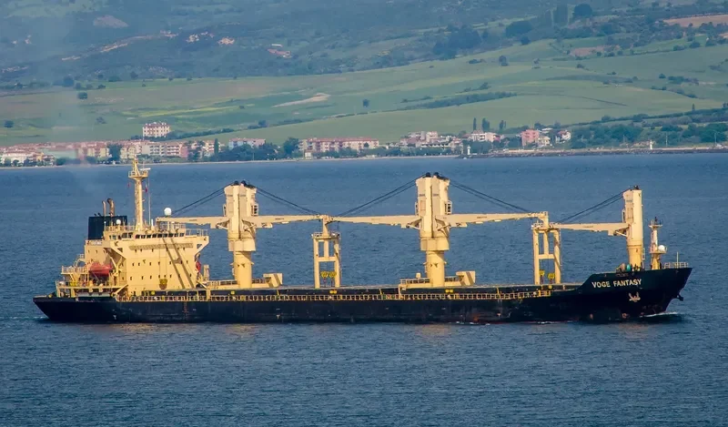 OCEANA MOON General Cargo IMO 9117600 photo 7