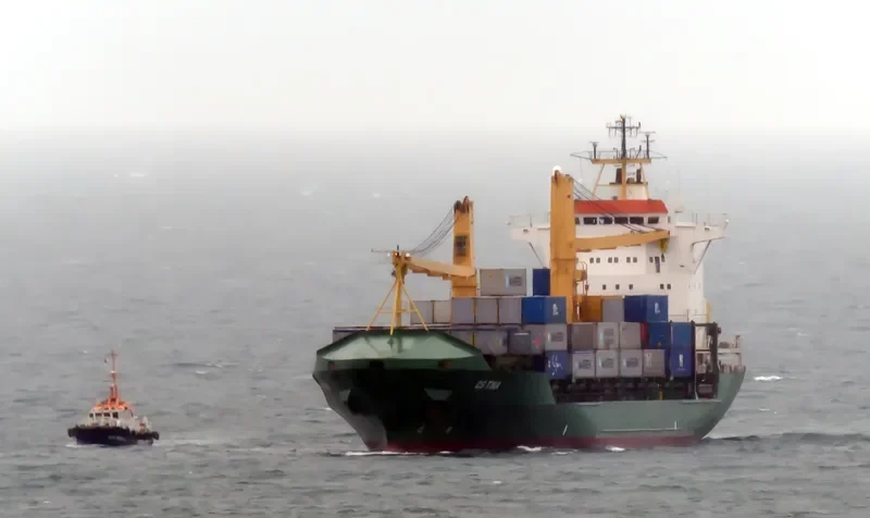 CS TINA Container Ship IMO 9117650 photo 3
