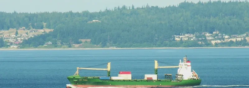 CNP ILO Container Ship IMO 9117662 photo 7