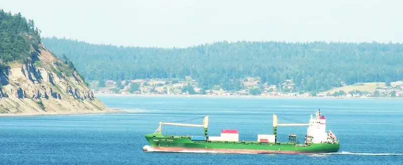 CNP ILO Container Ship IMO 9117662 photo 26