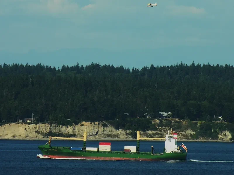 CNP ILO Container Ship IMO 9117662 photo 27