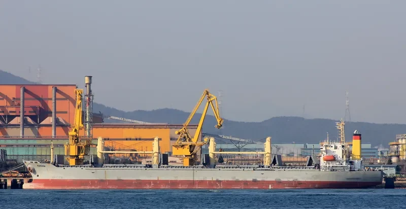 NANHAI Bulk Carrier IMO 9117703