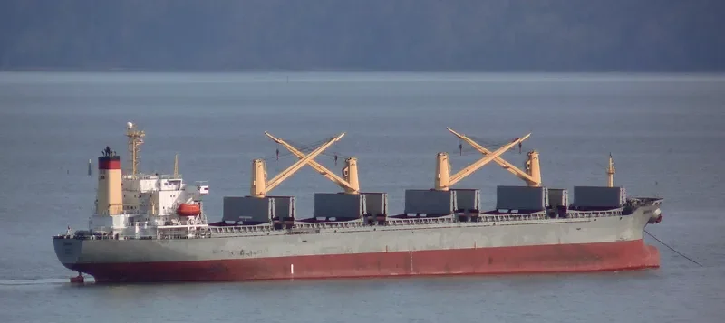NANHAI Bulk Carrier IMO 9117703 photo 6
