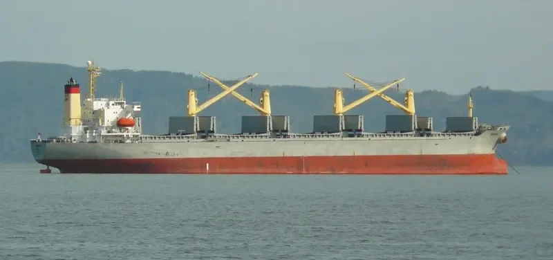 NANHAI Bulk Carrier IMO 9117703 photo 7
