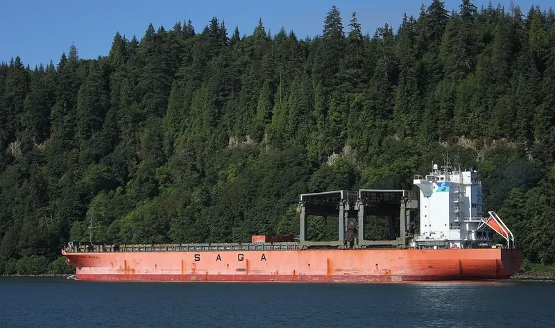 SAGA MONAL Container Ship IMO 9117739 photo 2