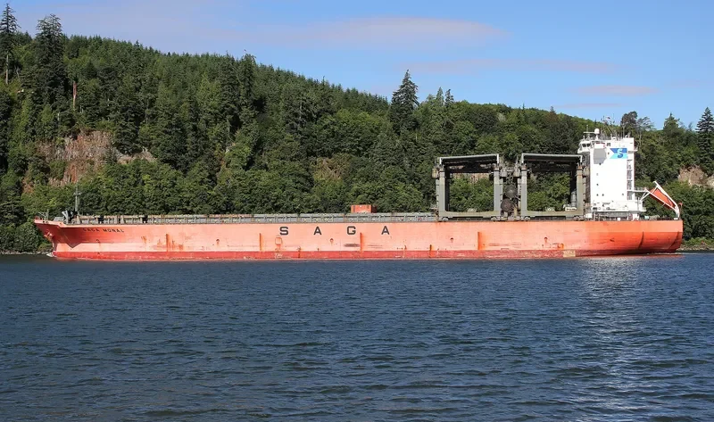 SAGA MONAL Container Ship IMO 9117739 photo 3