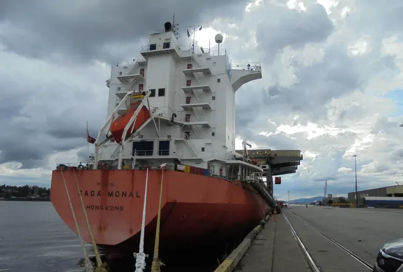 SAGA MONAL Container Ship IMO 9117739 photo 7