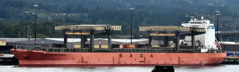 SAGA MONAL Container Ship IMO 9117739 photo 8