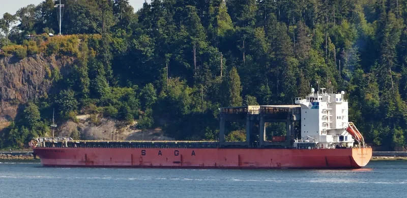 SAGA MONAL Container Ship IMO 9117739 photo 9