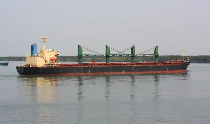 HONG DE Bulk Carrier IMO 9117789 photo 6