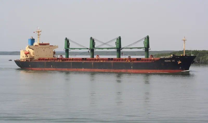 HONG DE Bulk Carrier IMO 9117789 photo 7