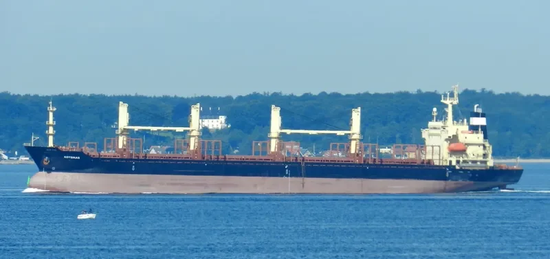 AMANO T Bulk Carrier IMO 9117832 photo 7