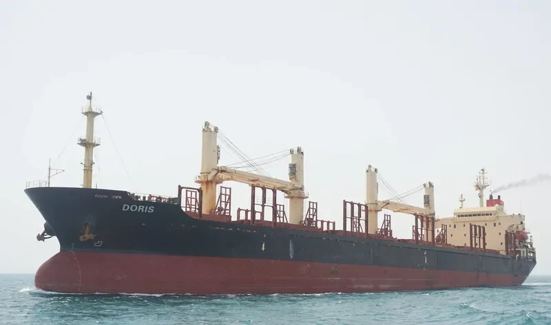 CLARE Bulk Carrier IMO 9117856