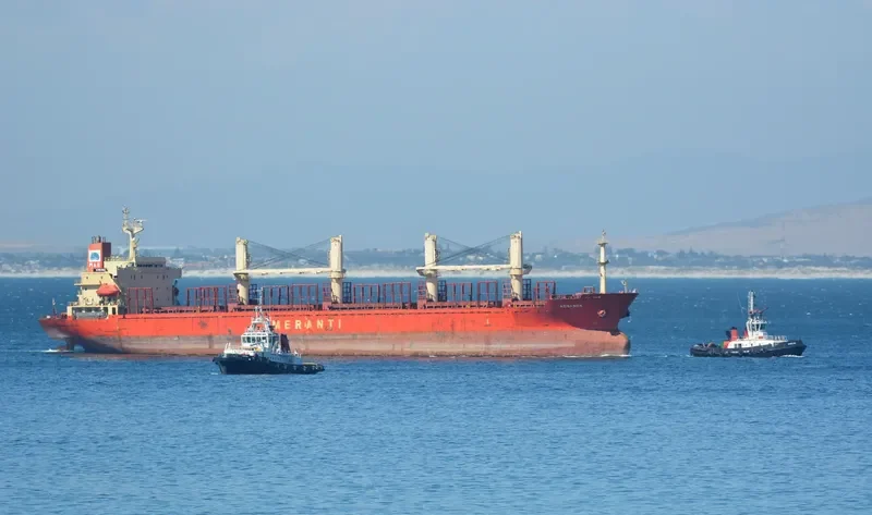 CLARE Bulk Carrier IMO 9117856 photo 2