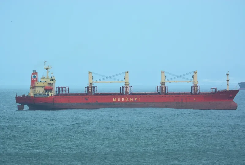 CLARE Bulk Carrier IMO 9117856 photo 3