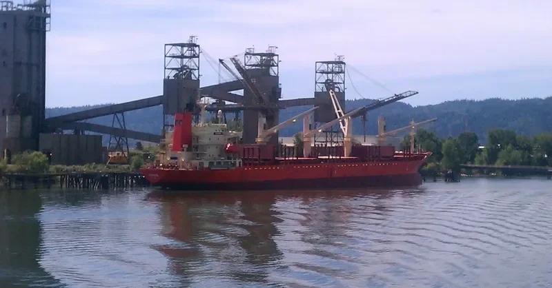 CLARE Bulk Carrier IMO 9117856 photo 4