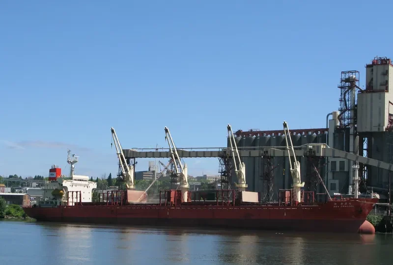 CLARE Bulk Carrier IMO 9117856 photo 7