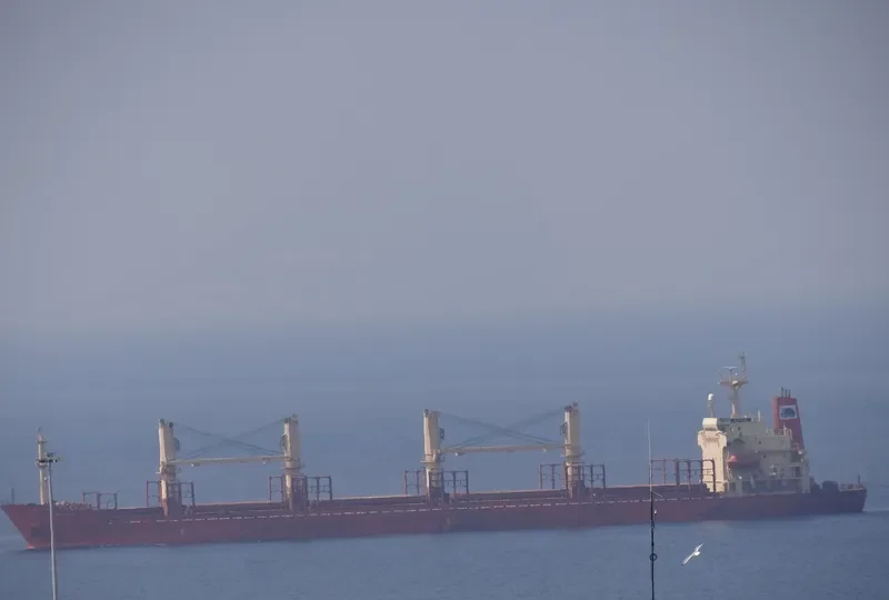 ZJ RAINBOW Bulk Carrier IMO 9117868