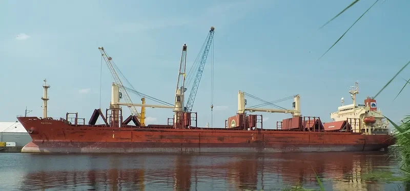 ZJ RAINBOW Bulk Carrier IMO 9117868 photo 4