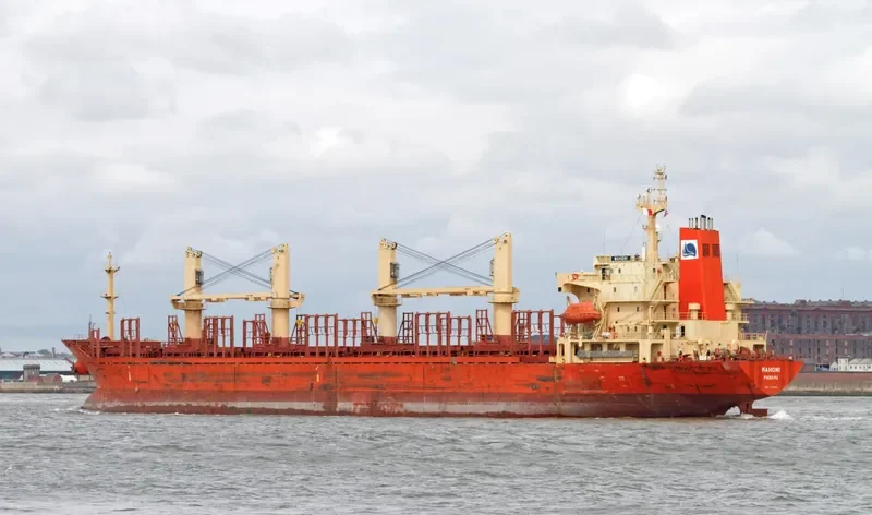 ZJ RAINBOW Bulk Carrier IMO 9117868 photo 6